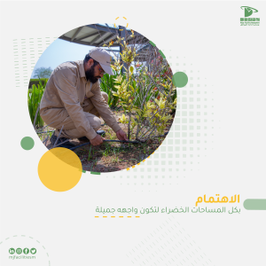 تصميم خدمة الري-١٢